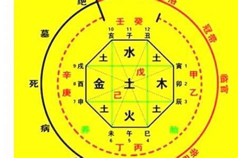 八字命盤 五行|生辰八字算命、五行喜用神查詢（免費測算）